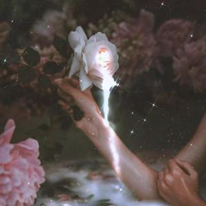 追光者 （等你回来）（翻自 马英伦）