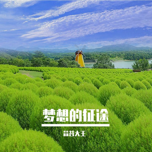悲伤的音符