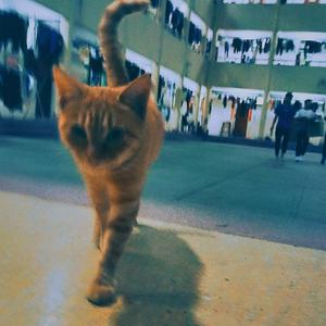 无funk说（Prod by BECU BEATZ）