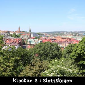 Klockan 3 i Slottskogen