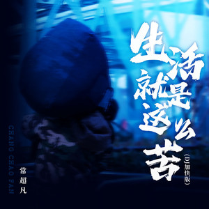 生活就是这么苦(DJ版)
