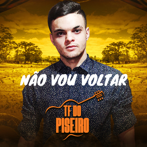 Não Vou Voltar