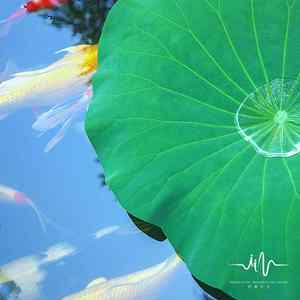 树起云飞 (书法阅读古琴曲)