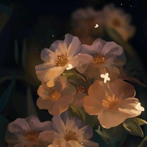 一封时光 （治愈女声）