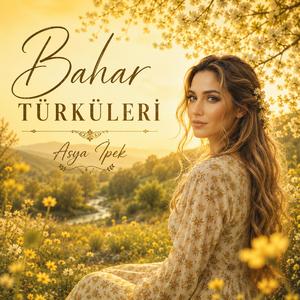 Karanfil Eker Misin