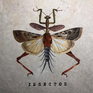 Insectos