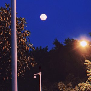 月光下暧昧（翻自 邹沛沛）