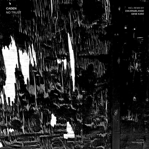 No Trust (Original Mix)