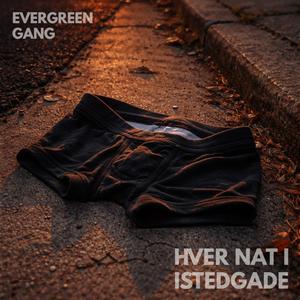 Hver Nat I Istedgade