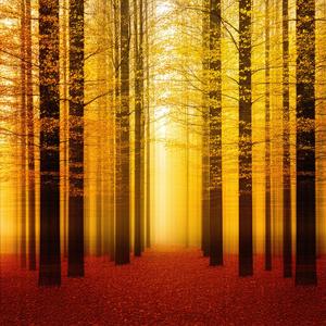 To This Remote Place Reprise