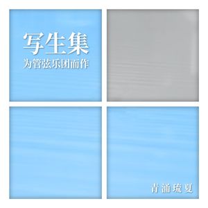 成片森林，斑驳的光源，跃动的空气和灰尘