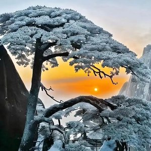 如果没有那场意外 (1).wav