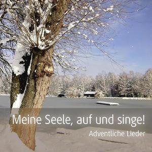 Maulwurfshügel Boarischer