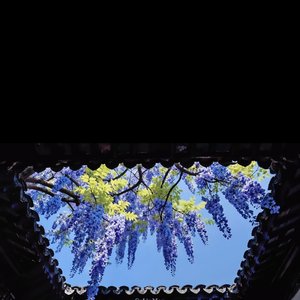 2026我的作品.wav