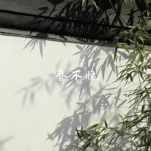 春不晚(DJ版)