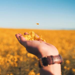 익숙한 따뜻함 (Familiar Warmth)