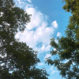 爱情胆小鬼-齐贝