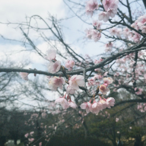 小道 (feat. anomachi)