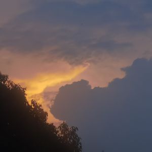 那些花儿（cover朴树）