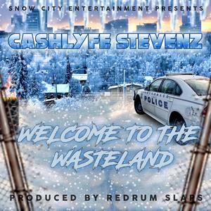 For the Low (feat. Duckman)