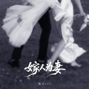 嫁人为妻 (DJ李秋琦版)升调版