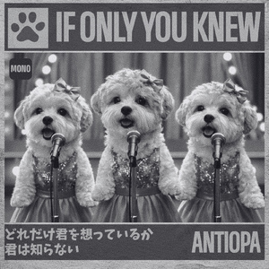 どれだけ君を想っているか 君は知らない (MONO)