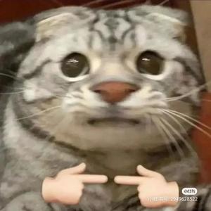 蓝青的摸鱼摸出的调调（非常随意的吉他/这算有个半首吧？）