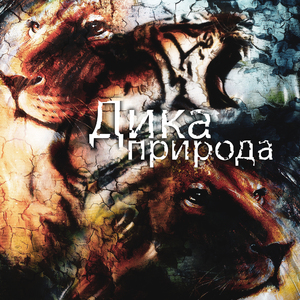 Чорна орхідея