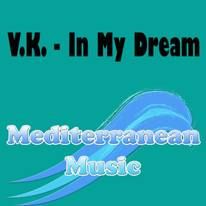 The Night Fly (Original Mix)
