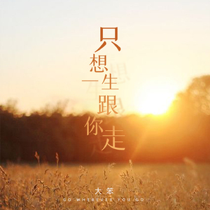 只想一生跟你走 (伴奏)