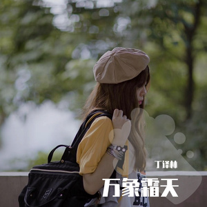 万象霜天x哥斯拉全系列