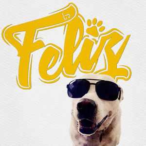 Feliz