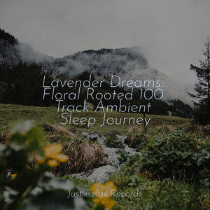 Glimmers of Celestial Heights