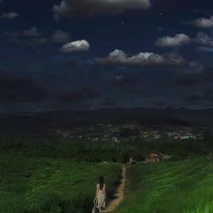 雪莲-《会呼吸的痛DJ》（名称含有敏感 remix）