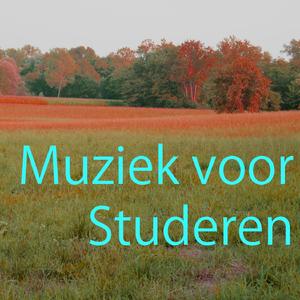Muziek voor Studeren 2