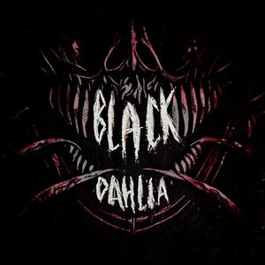 Black Dahlia