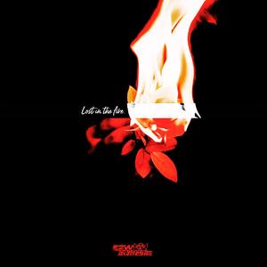 LOST IN THE FIRE
