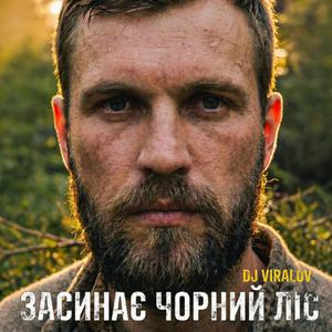 Засинає Чорний ліс (Deep House)