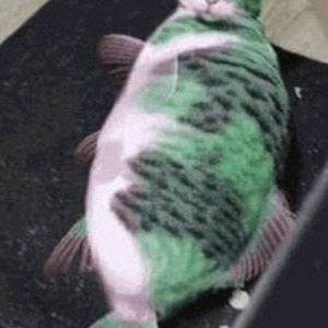 Rompe La Discoteca (slowed)