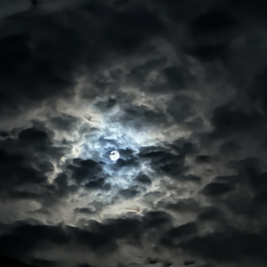 爱就烧成火 不爱就割舍