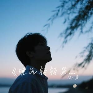 晚风轻轻晃