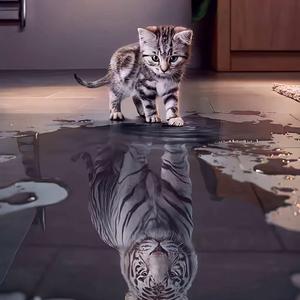 天空属于哈夫克