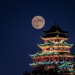 困爱