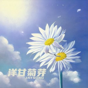 洋甘菊芽