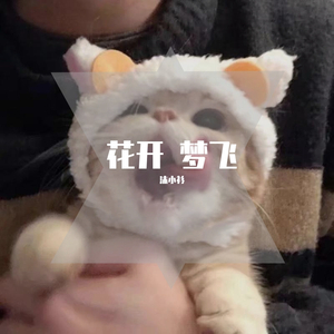 认真的老去(Cover 张希 曹方)（翻自 张希/曹方）