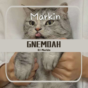 艾福杰尼-说散就散（DJ Markin remix）