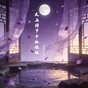 天上掉下个林妹妹