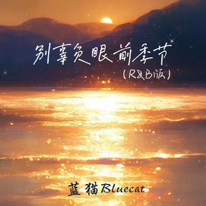 别辜负眼前季节(R&B版)
