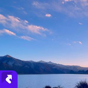 有你才最难忘 (现场)