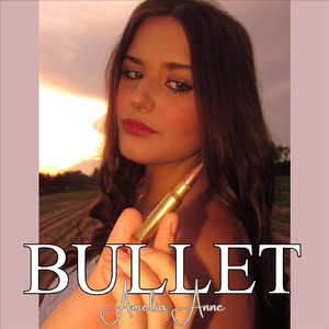 Bullet